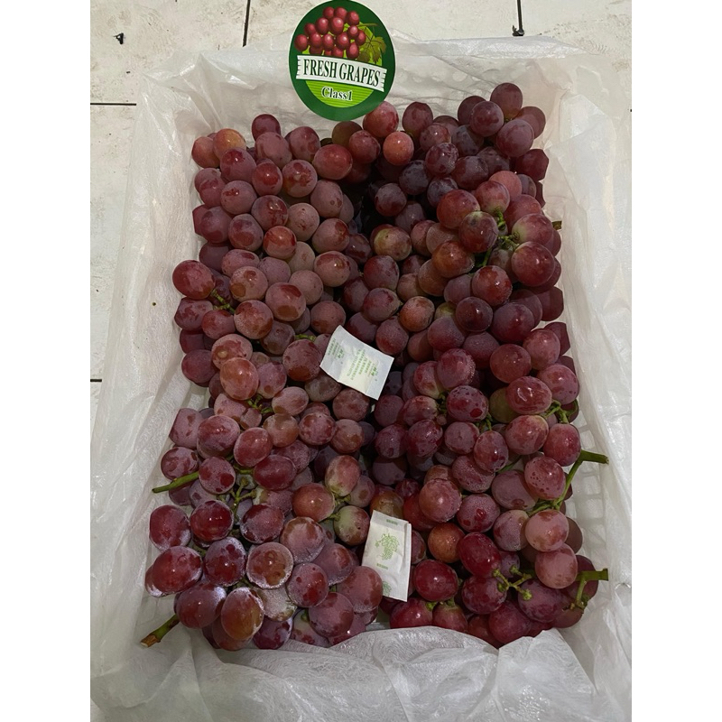 

Buah anggur RRC manis 500/gr (KHUSUS PENGIRIMAN GOSEND)