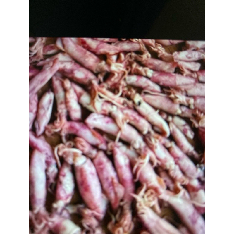 

Ikan Cumi Asin