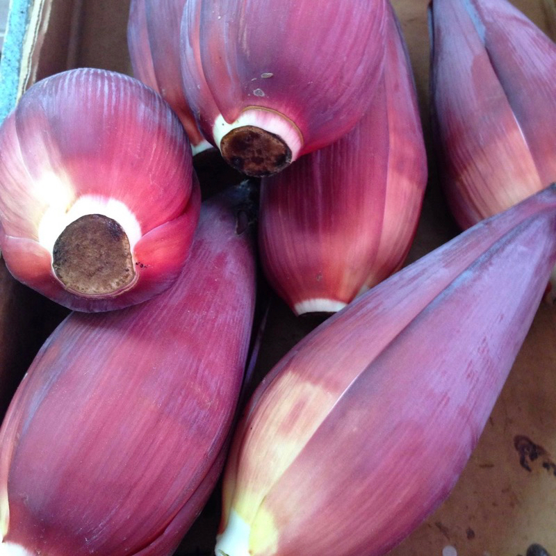 

JANTUNG PISANG / ONTONG 1PCS