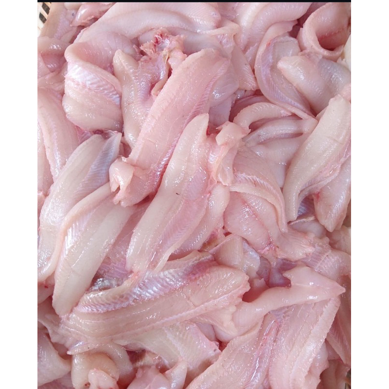 

ikan gabus fillet 1 kg