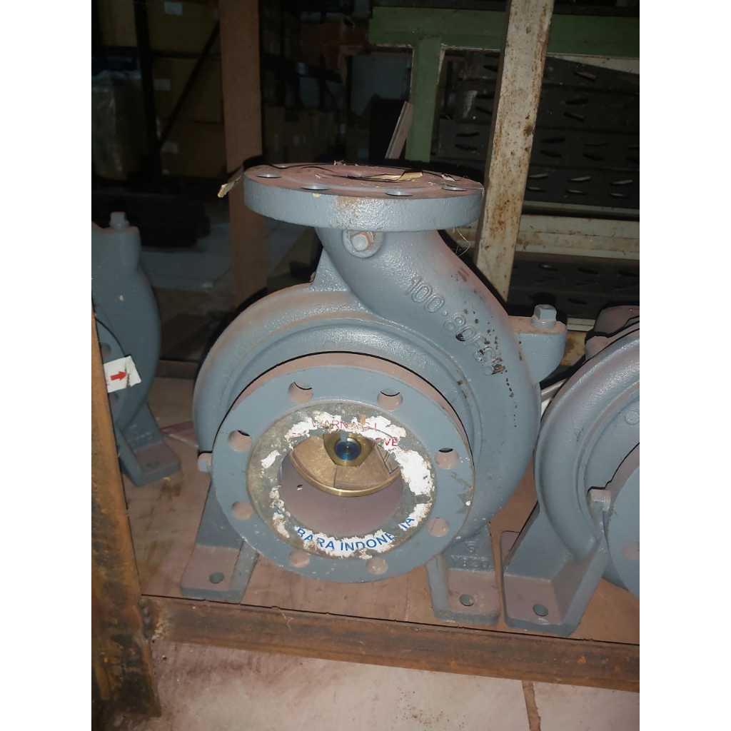 EBARA 100X80 FSH MS/GP