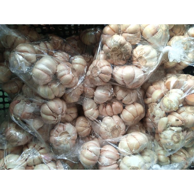 

Bawang putih 1kg