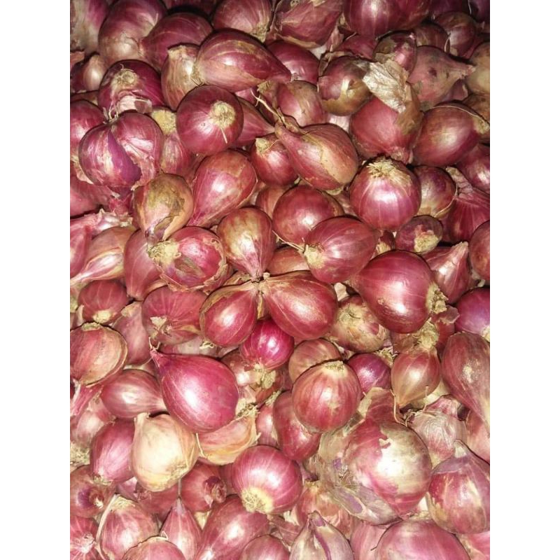 

Bawang Merah Lokal 500gr/