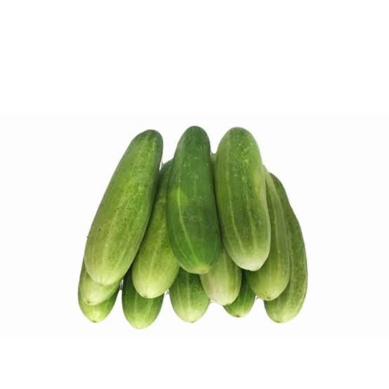 

Timun lalap / Timun acar / Timun segar
