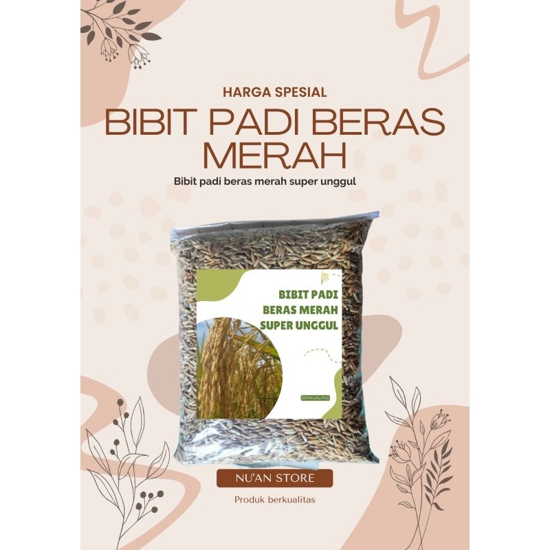 

BIBIT PADI BERAS MERAH SUPER UNGGUL PER 1KG