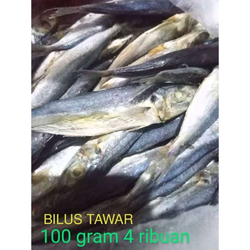 

Bilus Tawar 100 gram 4.000