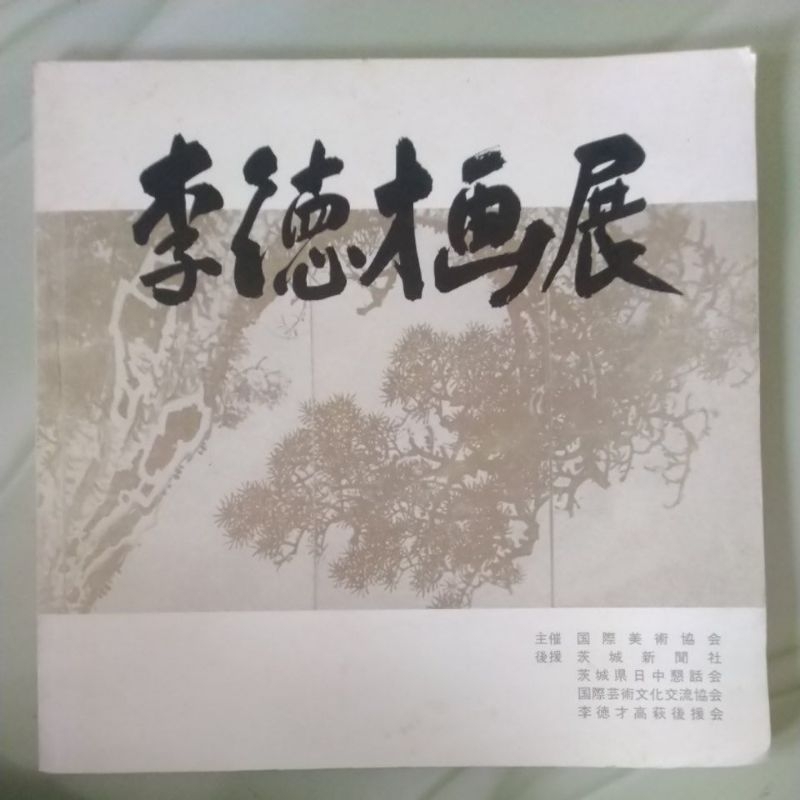 Buku Hobi Lukisan Bahasa China