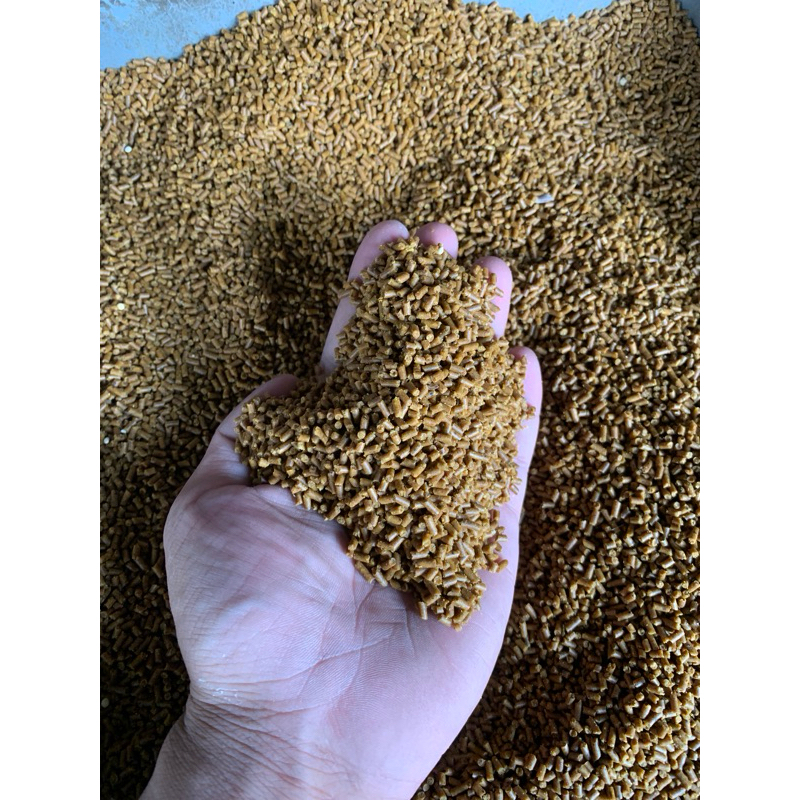 PUR ASAK PUR MATENG PAKAN BURUNG