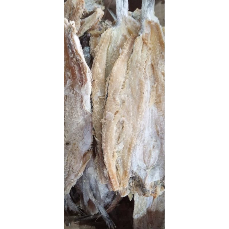 

IKAN ASIN GABUS 500G/ IKAN GABUS