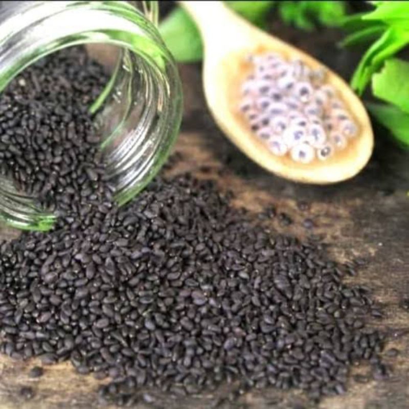 

biji selsih / basil seed import brazil