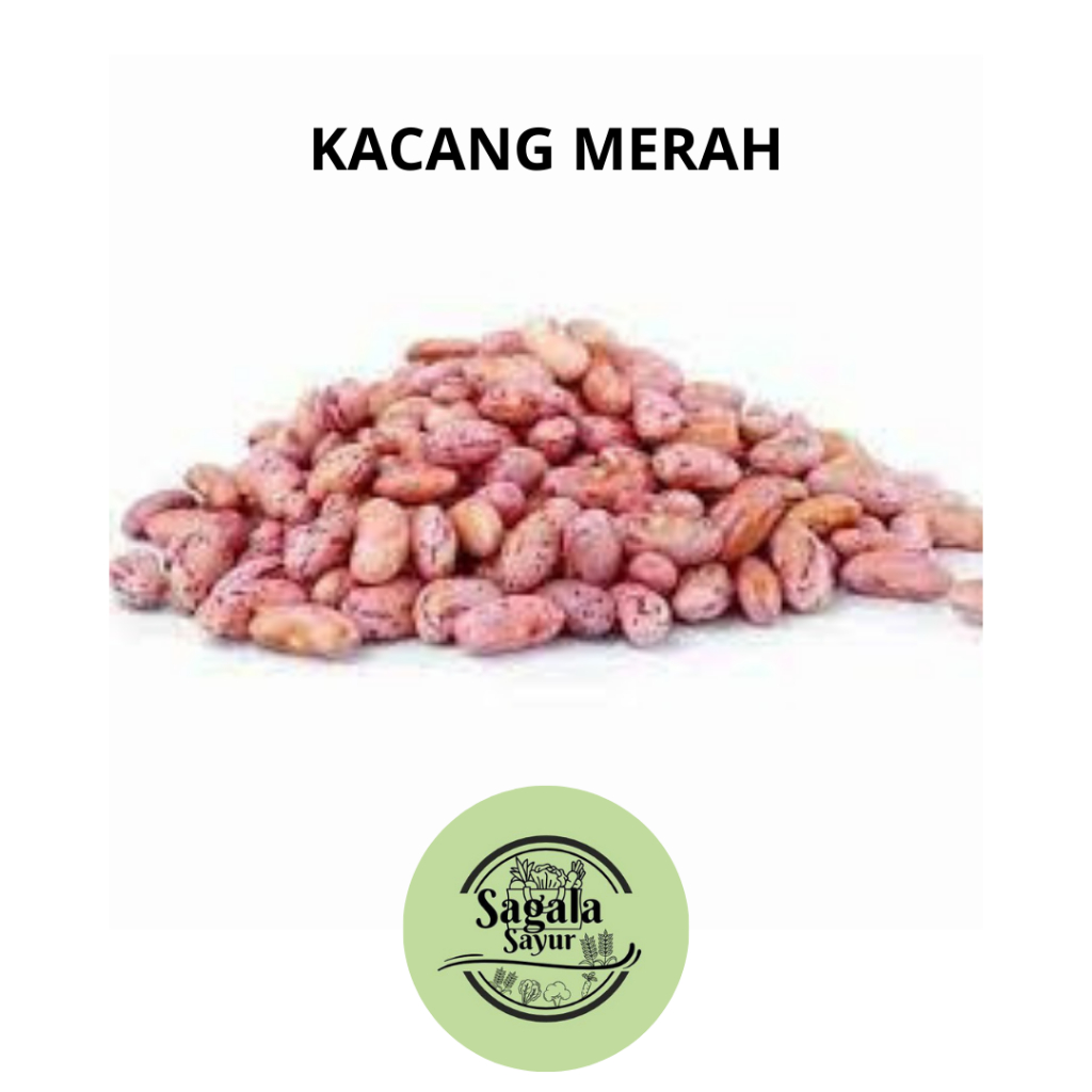 

KACANG MERAH LOKAL