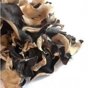 

JAMUR KUPING KERING ( JAMUR HITAM )