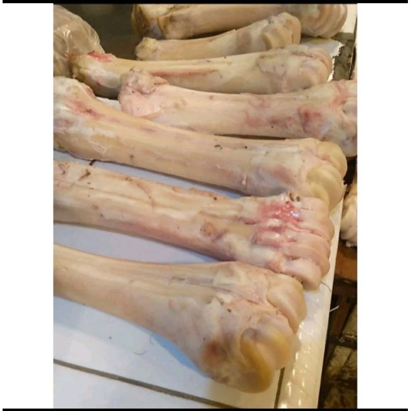 

tulang sumsum sapi 1kg