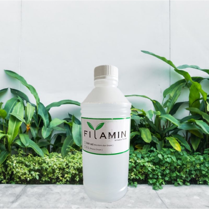 Filamin Siram (1000ml) Nutrisi Tauge Original