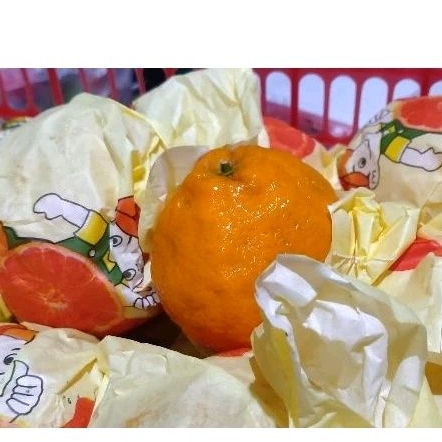 

Buah Jeruk Dekopon/Papagan
