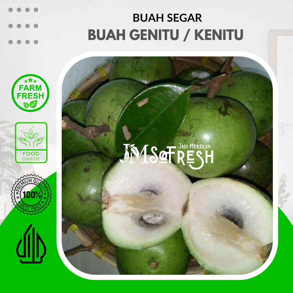 [JM_SoFresh] Buah Kenitu Segar / Buah Genitu / Manecu / Buah Susu 1Kg