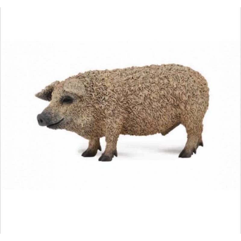Hungarian Pig 88674 Babi Mainan Animal Figure Binatang Miniature Edukasi Anak Hewan Figurine Pajanga