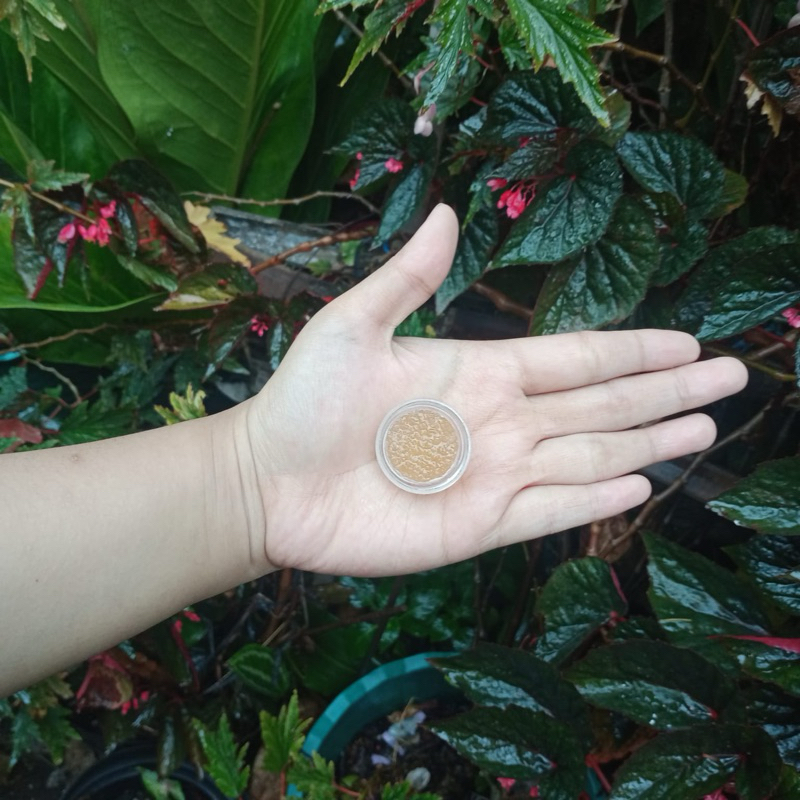 

READY “Lips Scrub “ Homemade