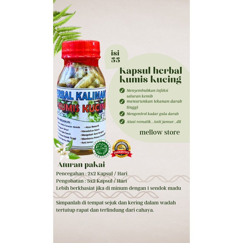 

Ramuan herbal kapsul daun kumis kucing isi 55 Asli 100%