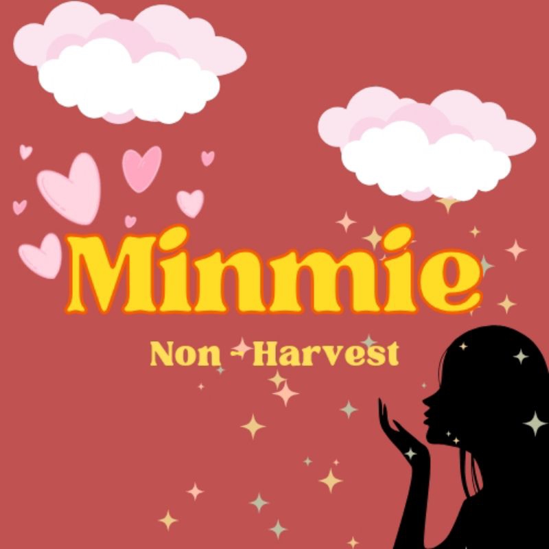 

MinMie Kertas Binder - Non Harvest ( Wajib Cek Deskripsi)