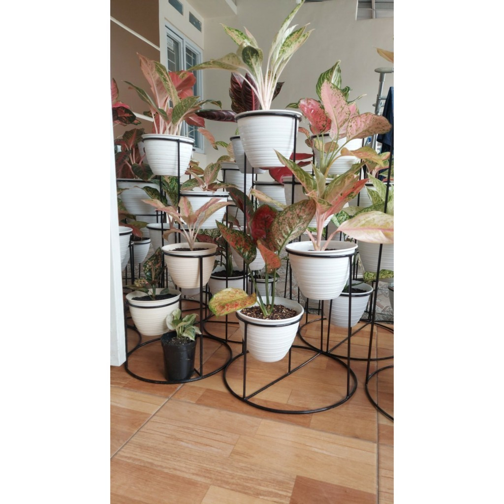 Rak Bunga Melingkar isi 4 bahan Besi Kokoh