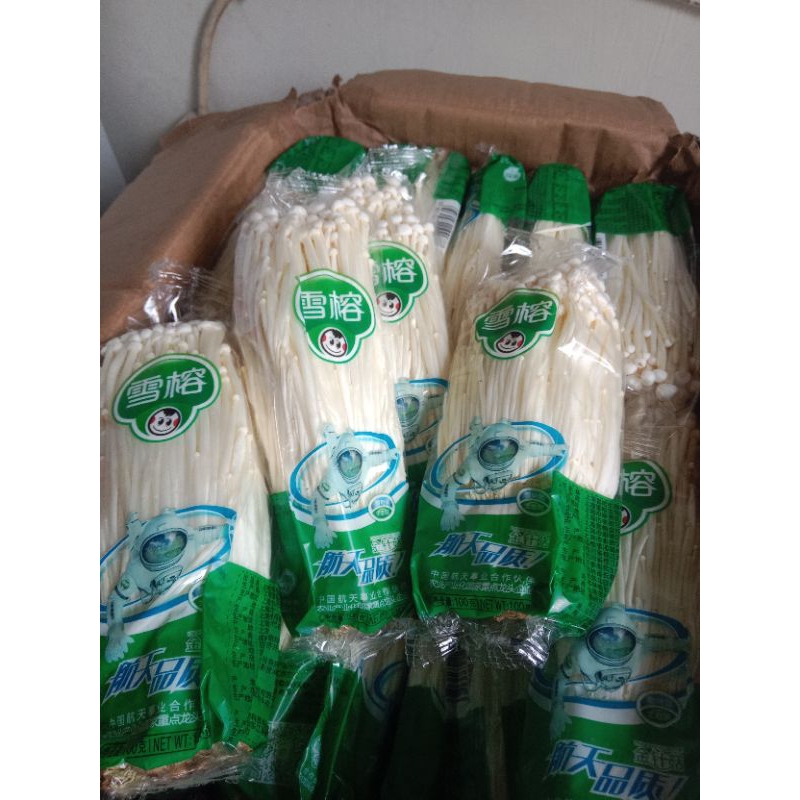 

jamur enoki