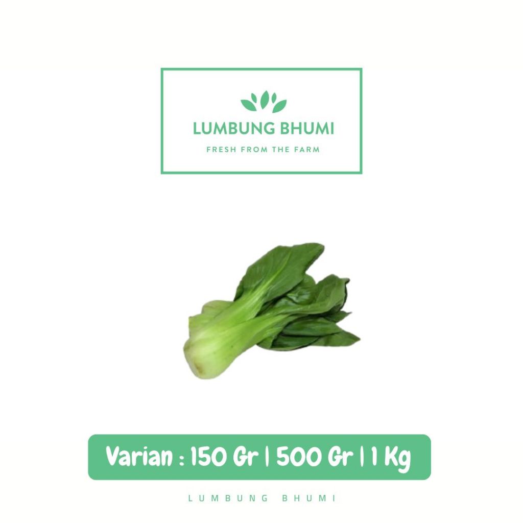 

Pakcoy Sayur - Lumbung Bhumi