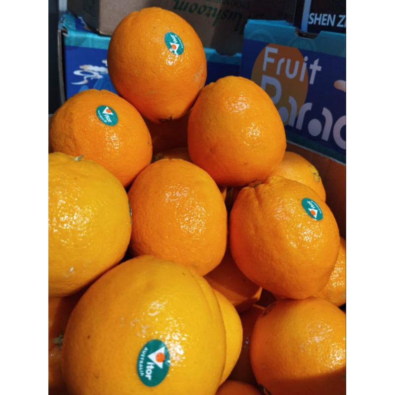 

SPMjerukNavelsunkist/perpeti