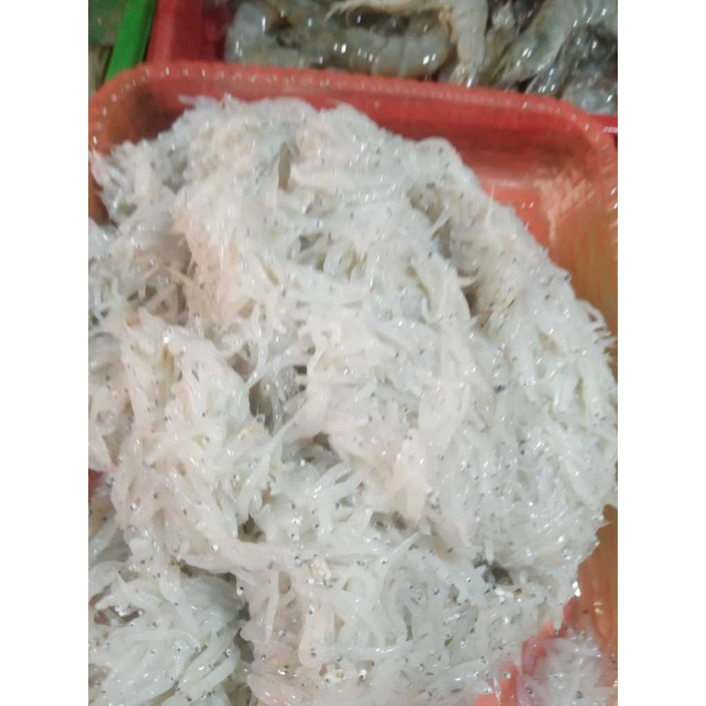 

Ikan Teri Medan (Teri Nasi) Segar