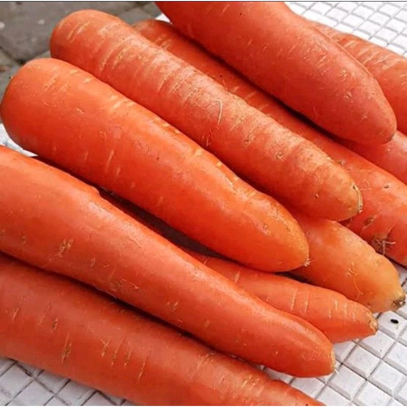 

Wortel Import / Sayuran Wortel import Fresh