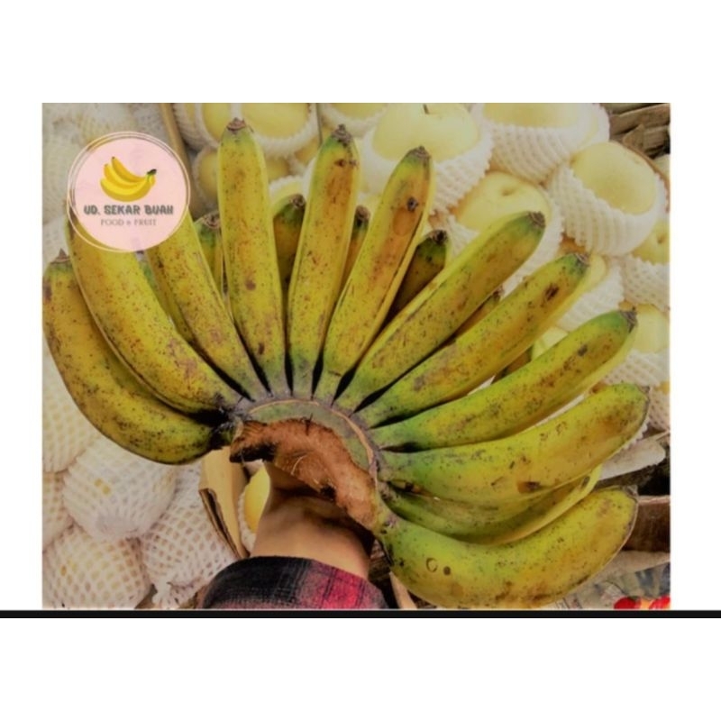 

[KIRIM INSTAN] PISANG BARANGAN MEDAN (1 SISIR)