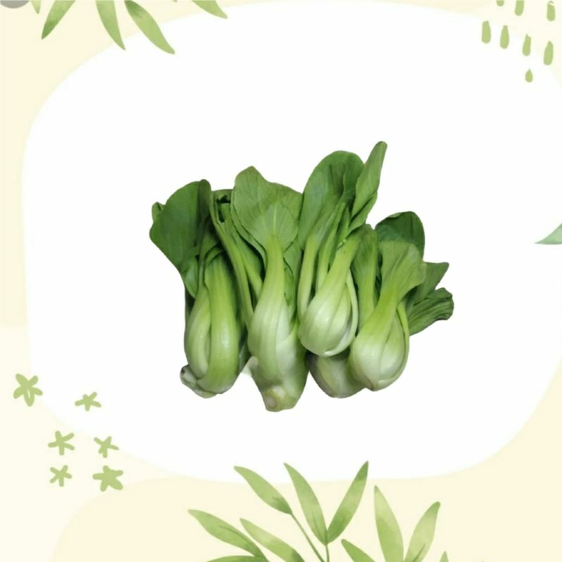 

Pakcoy sayuran fresh