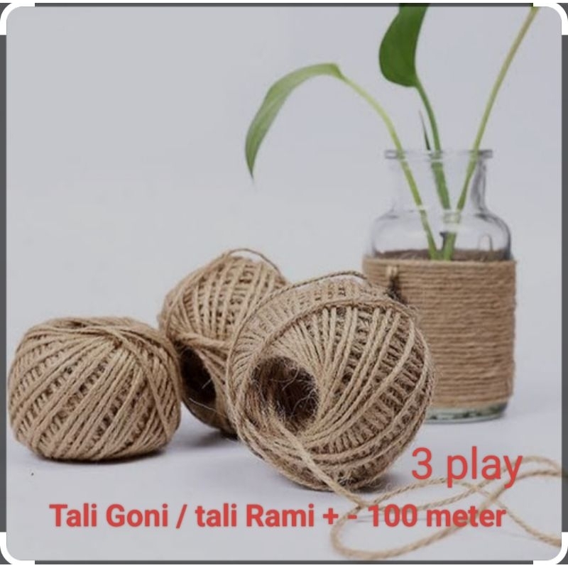 

Tali Goni / tali Rami - + 100 meter