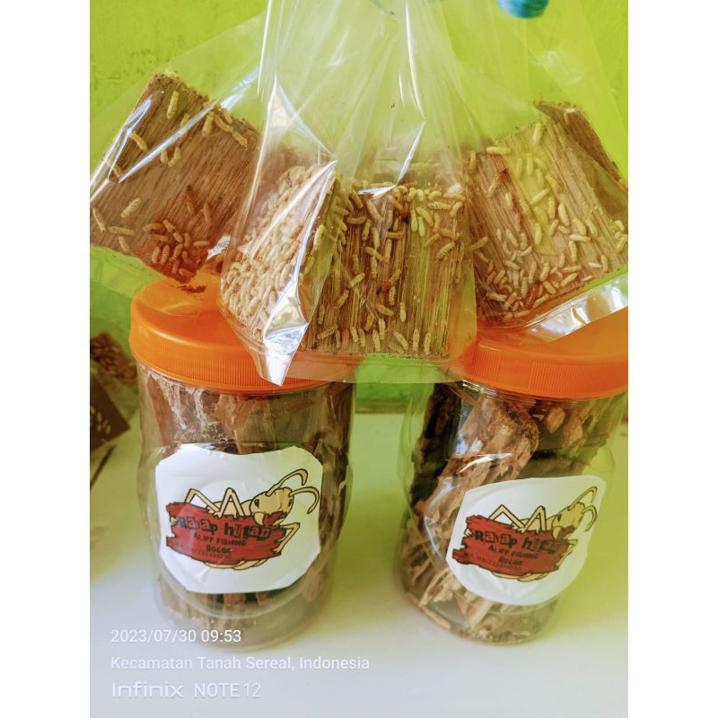 poa/pua/reangas/rayap