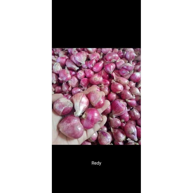 

Bawang Merah Super 1.000grm