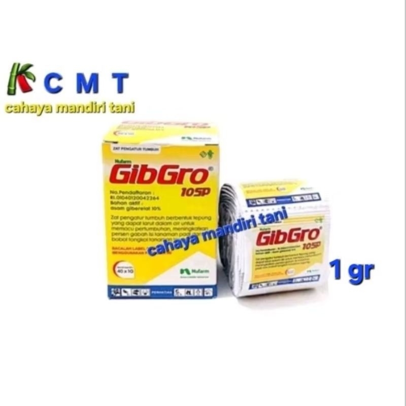 GIBGRO 1GR ATAU 1SASET