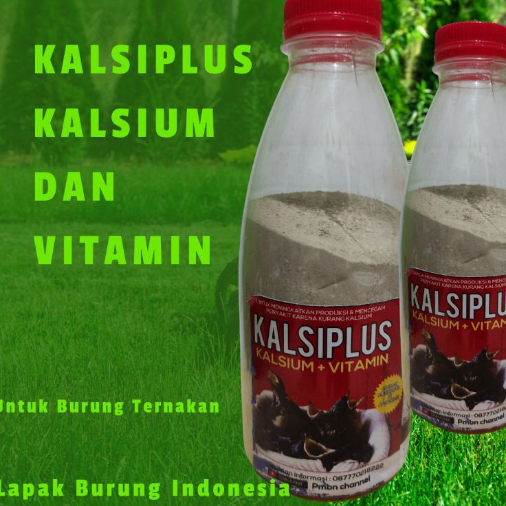 Grosir Update  KALSIPLUS Kalsium Plus Vitamin Untuk Burung Murai Kacer Lovebird Anis Jalak Suren