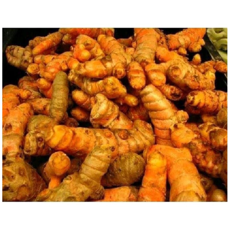 

kunyit kunir segar 500 gram