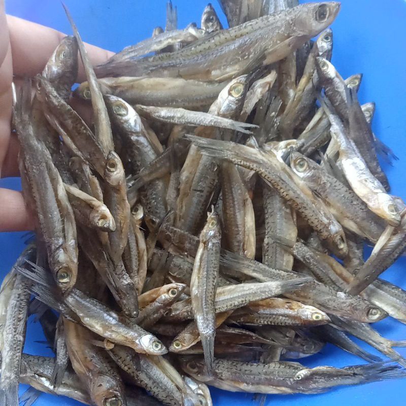 

ikan asin seluang berat 500gram