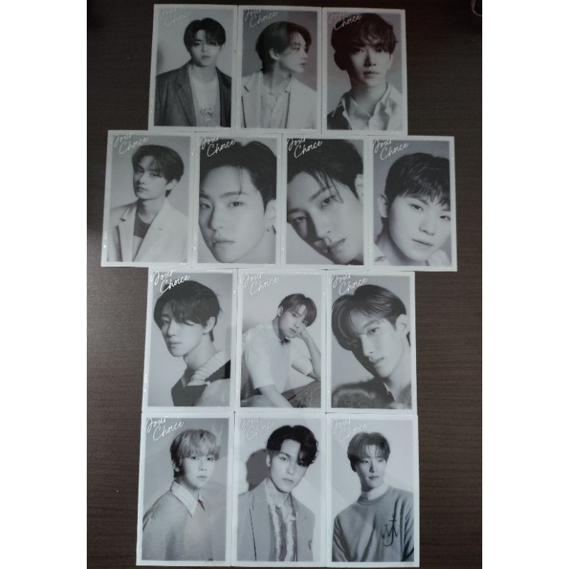 Seventeen Your Choice Instant Photo Set Mingyu DK Dino