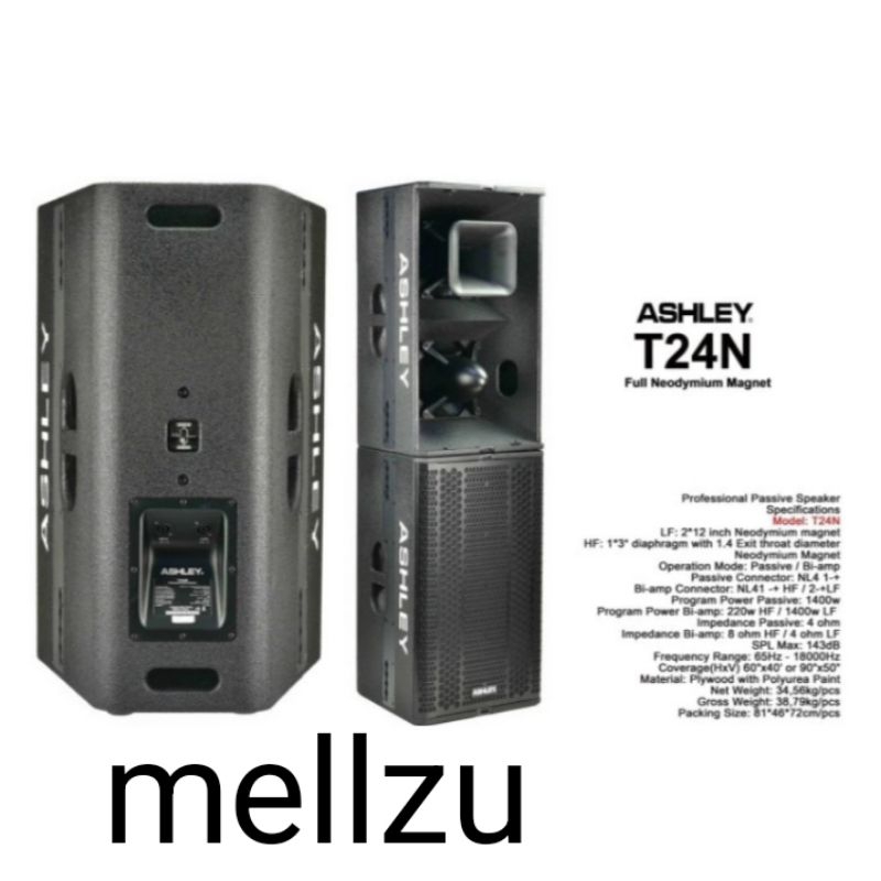 Speaker pasif Ashley T24N Original Ashley T 24N