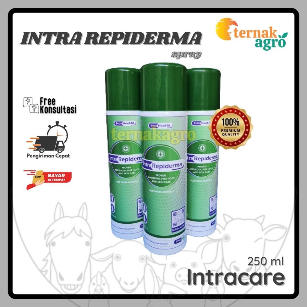 Intra Repiderma - spray (1 botol 250 ml)