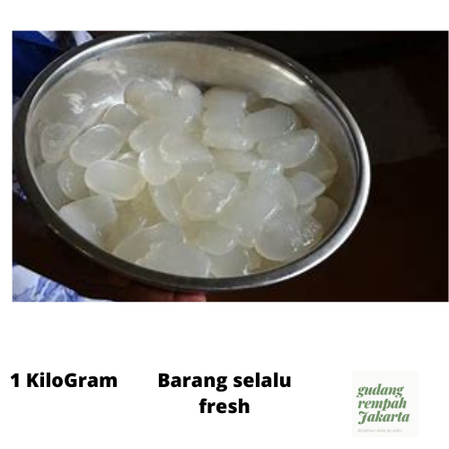 

Kolang Kaling Medan Super fresh 1kg