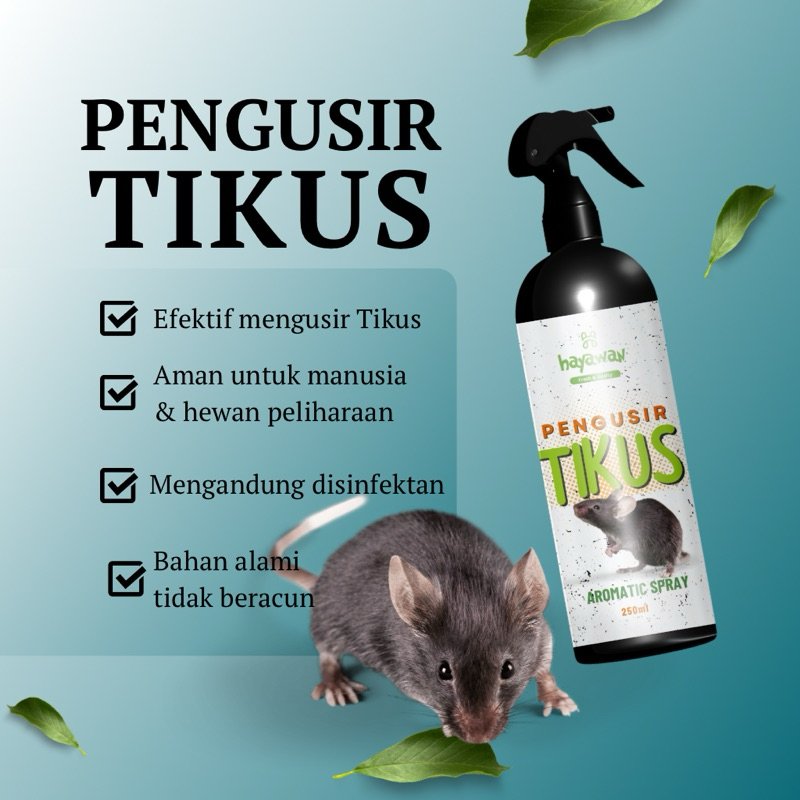 SPRAY PENGUSIR TIKUS | PEMBASMI TIKUS | OBAT PENGUSIR TIKUS RUMAH & MOBIL | SEMPROTAN ANTI RODENT RE