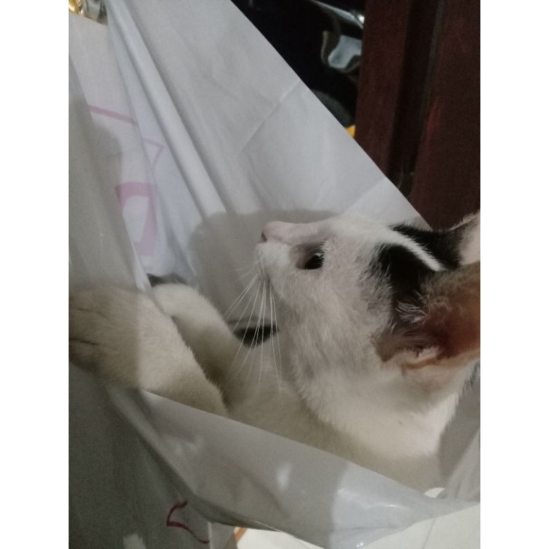 

EXTRA PACKING