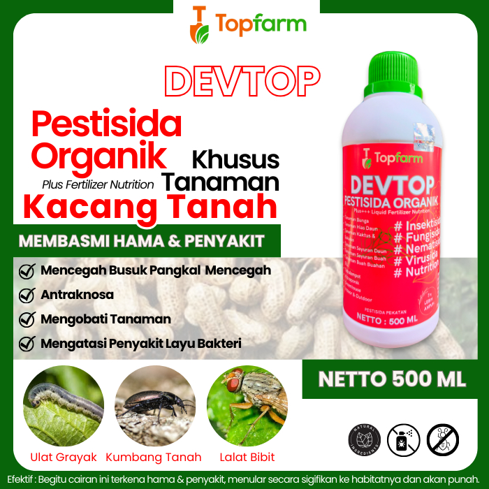 Obat Jamur Kacang Tanah / Obat Tanaman Kacang Tanah / Obat Hama Pada Tanaman Kacang Tanah / Obat Sem