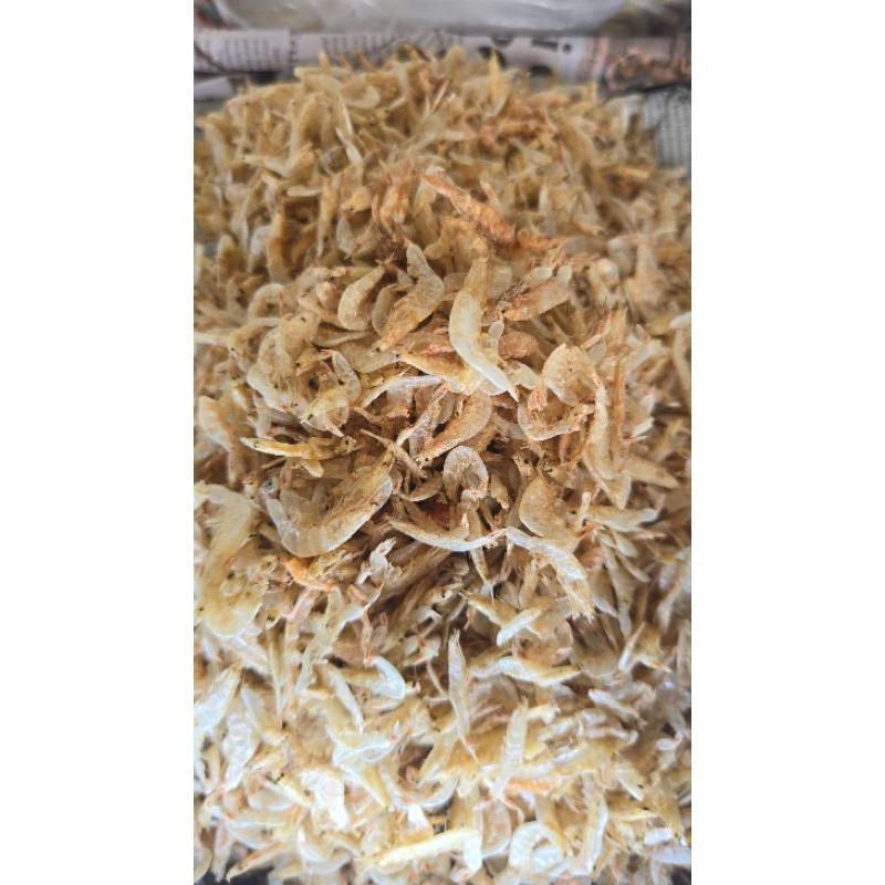 

udang papay / udang rebon