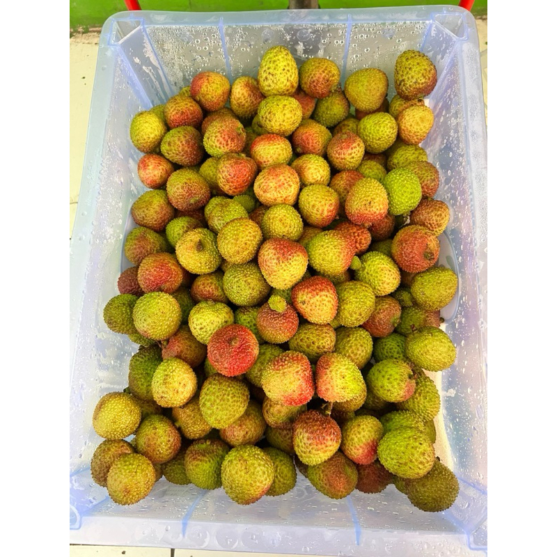 

PROMO‼️LECY MADU IMPORT 1 Krat -+5.5kg (PENGIRIMAN KHUSUS GOSEND)