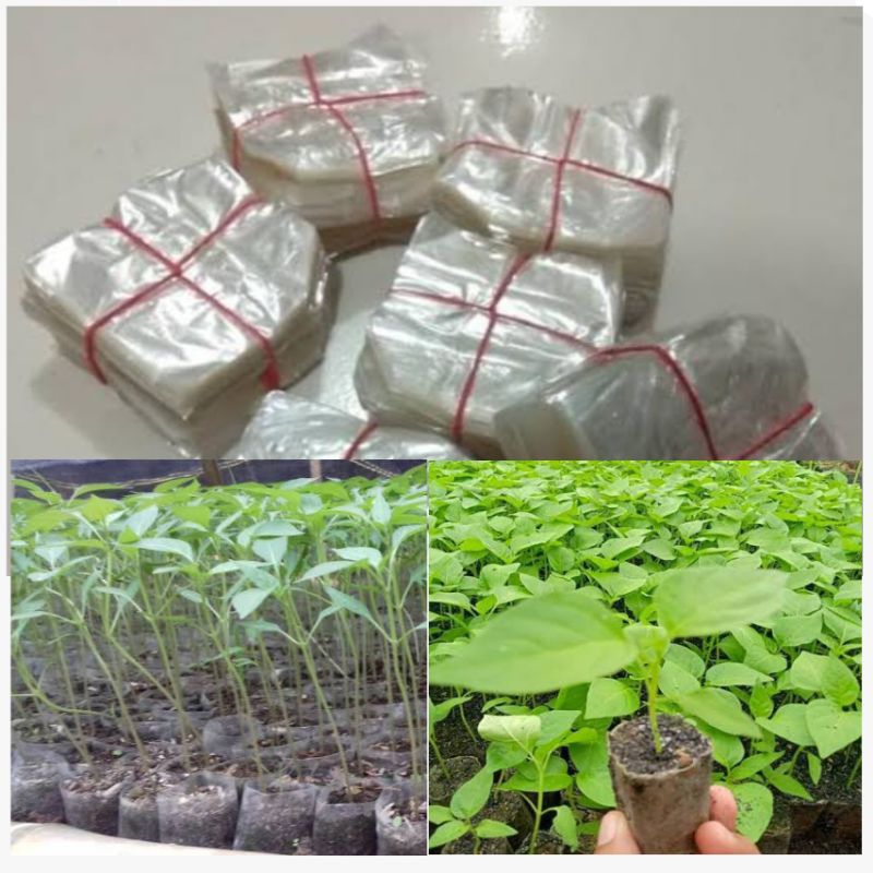 Plastik semai cabai 1000 Lembar - Plastik Semai Cabe - Plastik Semai Benih - Polybag Cabe - Polybag 
