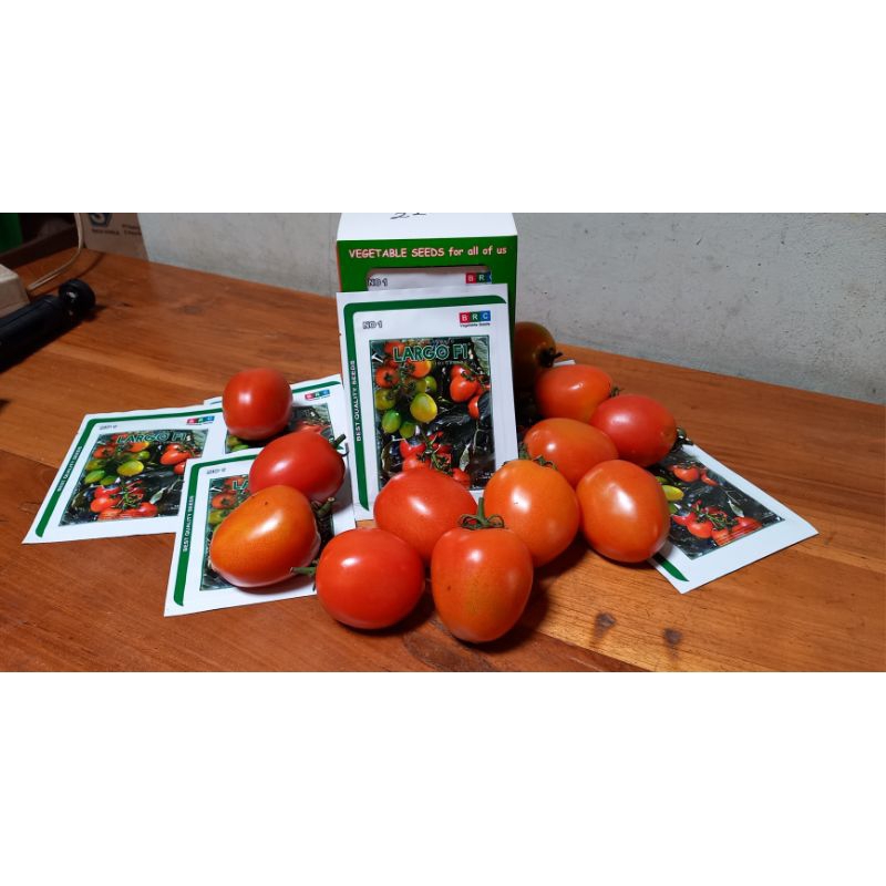 

Tomat Besar Largo